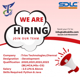 IT Training | Job placement | Corporate Training - sdlcskills.com